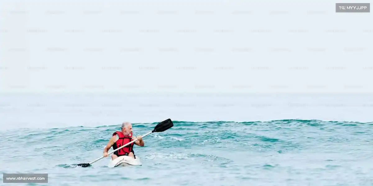 行业领先的理由